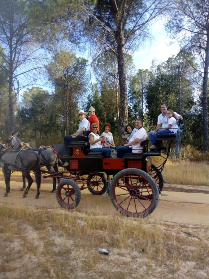 Cortijo Los Conquistadores Lucena Del Puerto Buitenkant foto